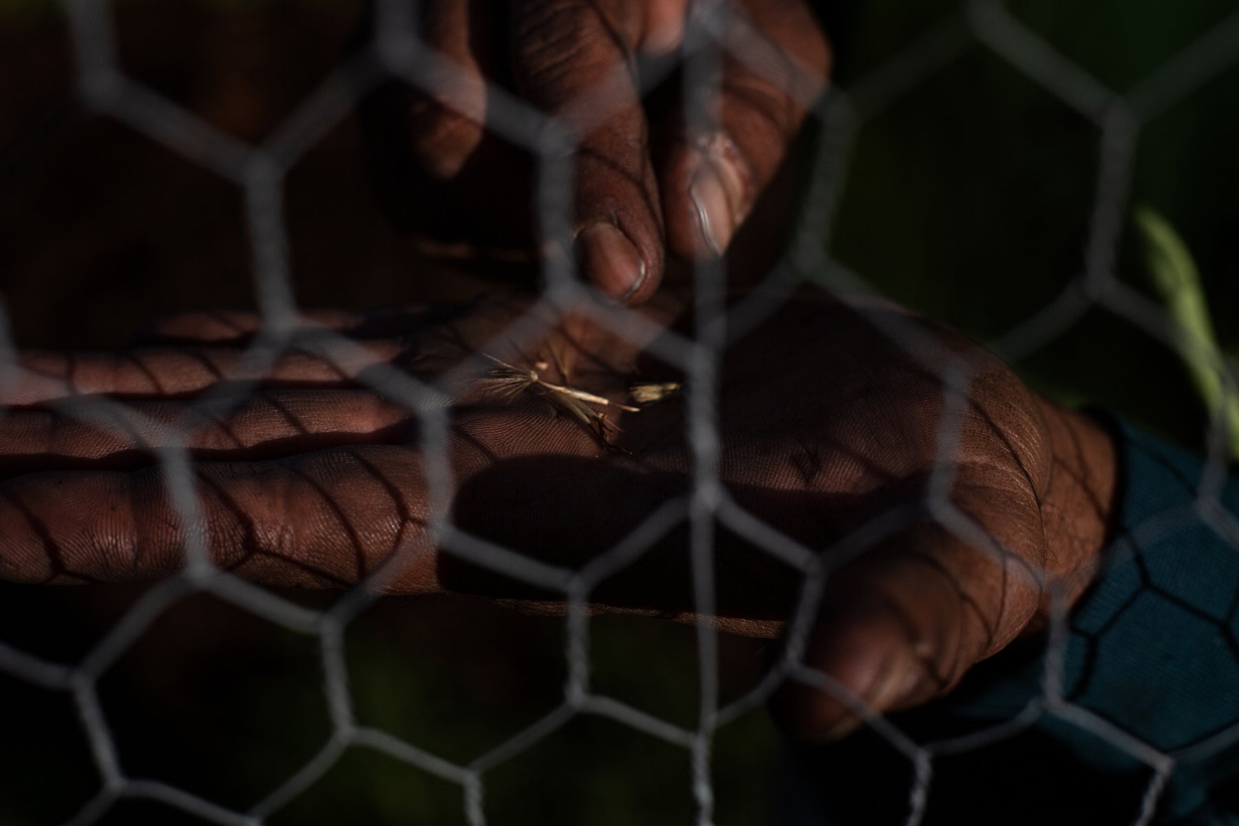 Farming for our Future