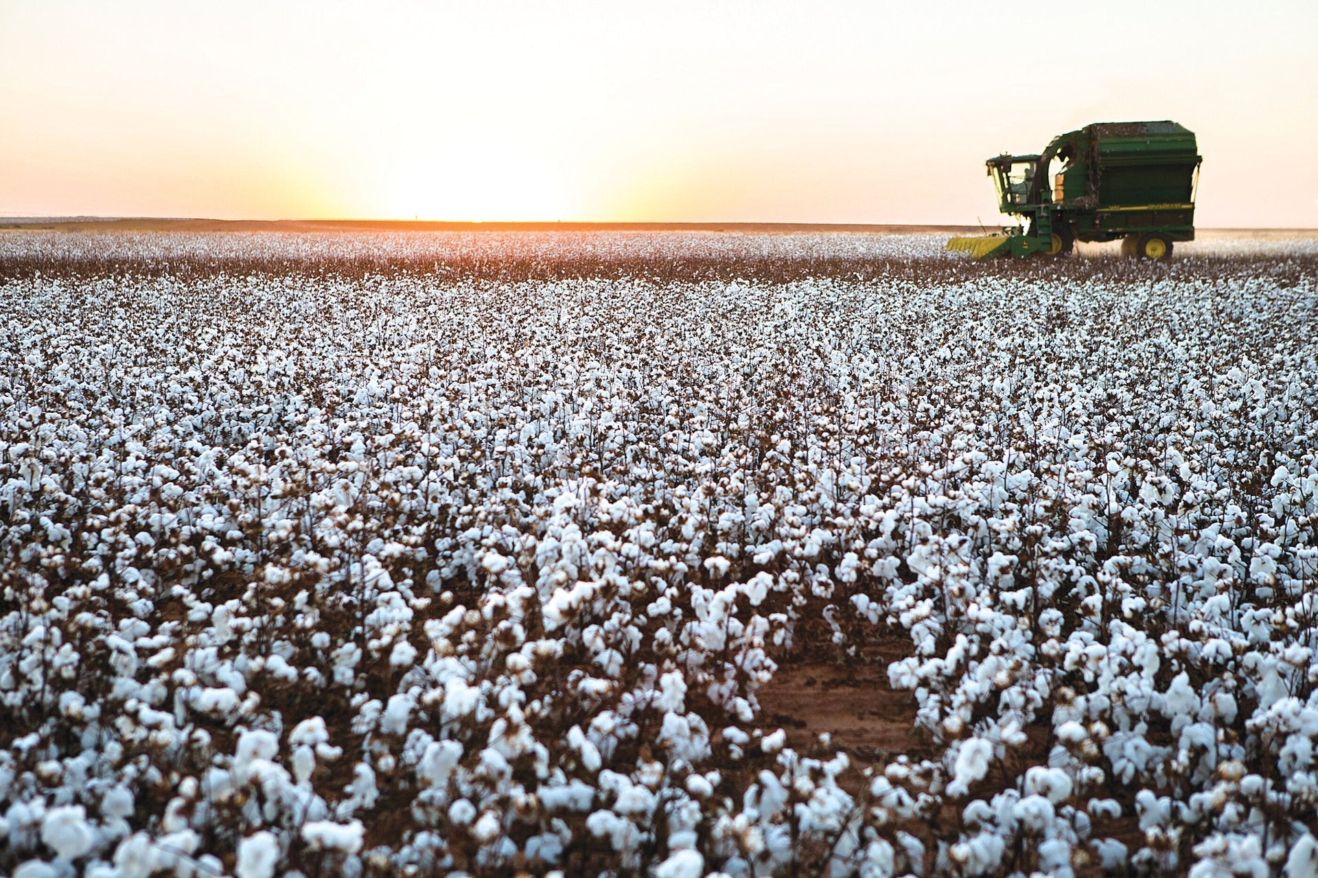 Regenerative Organics: Drawing a Line in the Soil