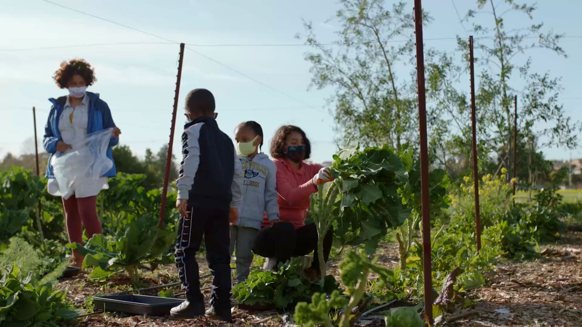 Remothering the Land