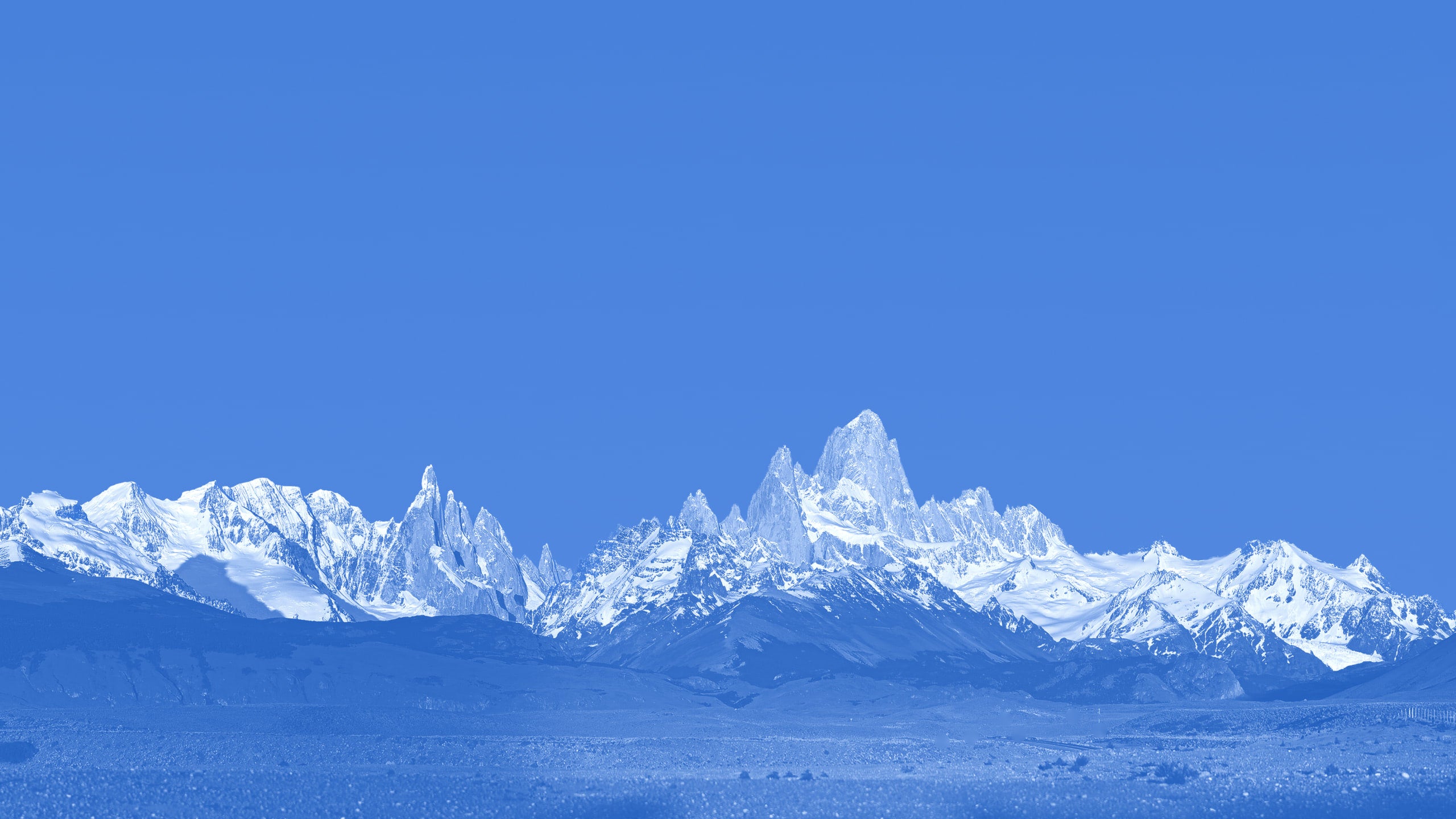 Wetsuits Sale Patagonia New Zealand