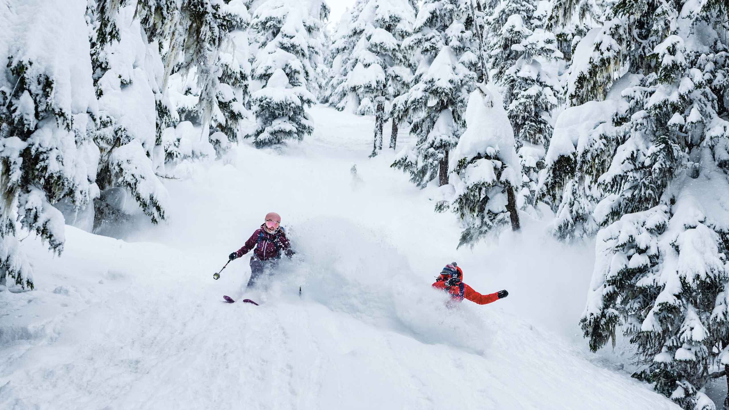 Women's Snow Clothing & Gear: Snowboarding & Skiing - Patagonia