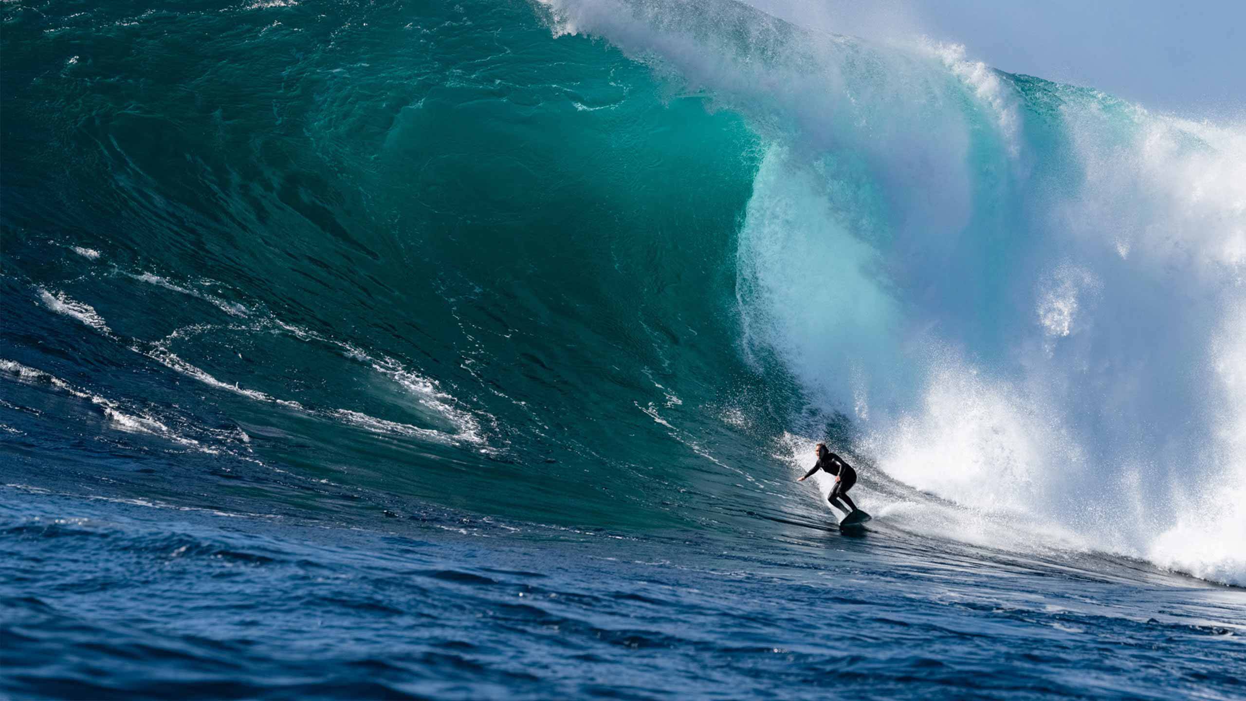 Yulex® Women's Wetsuits Steamers, Springsuits, Vests Patagonia New