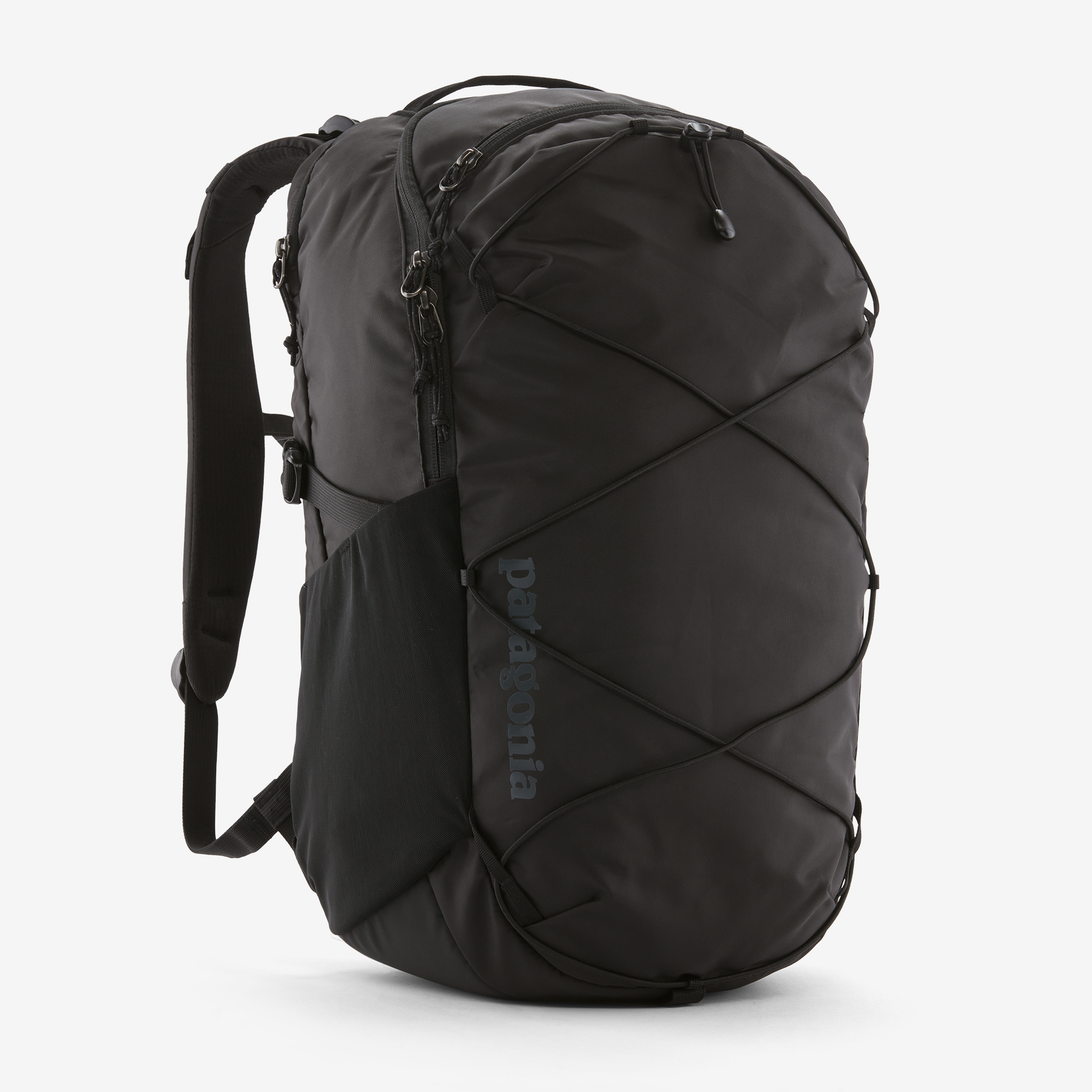patagonia backpacks nz Refugio Daypack 30L