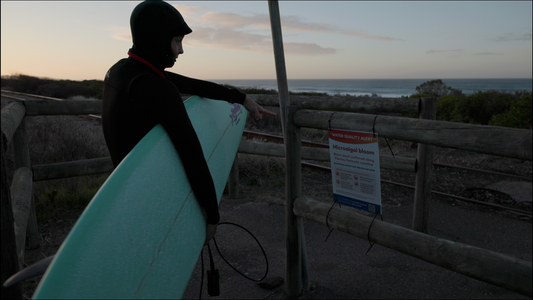 Opening image: The first signs of the algal bloom were seen along vast areas of the South Australian coastline in early March, with ocean temps 2.5˚C above average. Photo courtesy Surfers For Climate