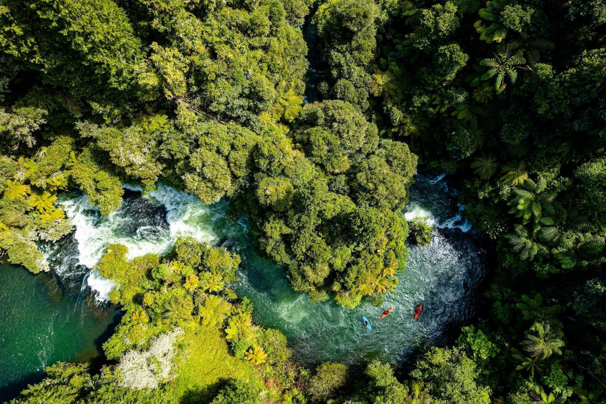 The Kaituna's three main waterfalls, or as they're better known, the three friends – Tutea Falls, Okere Falls and Kaituna Falls – are kayaking features now synonymous with the river. Photo: Rod Hill