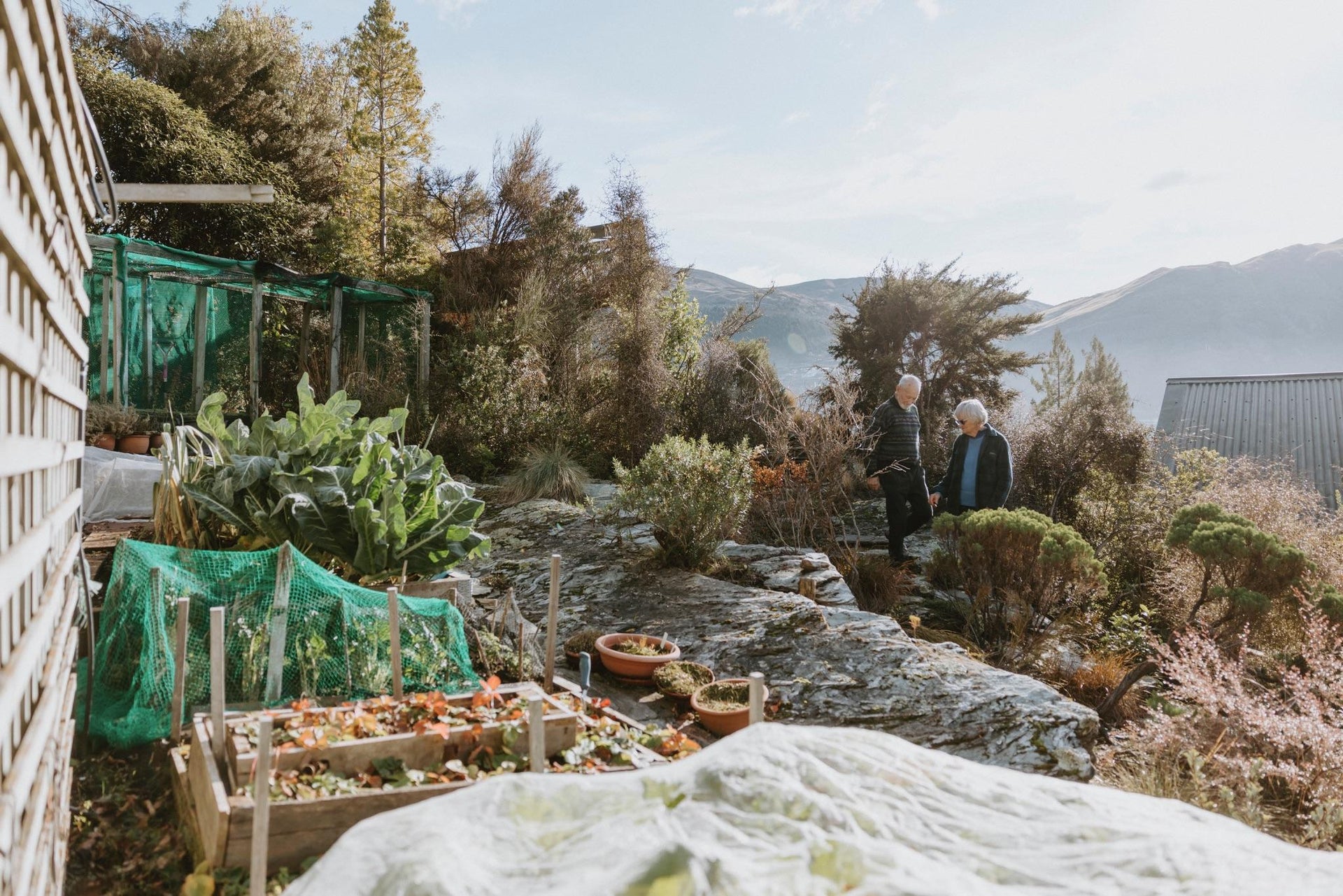Barb and Neill Simpson amongst their backyard of sprawling natives. Photo: Dee Gerlach