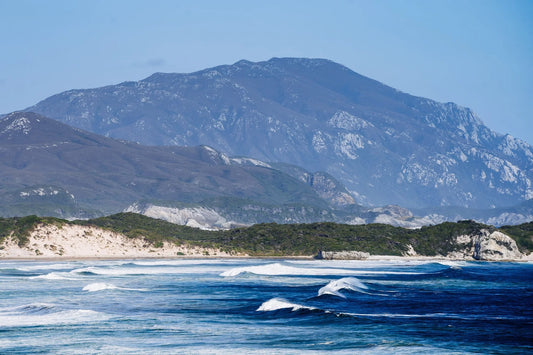 Opening Image: Our office view is ok. Pre-cleaning vistas as a monster 8ft+ swell rolls into Stephens Bay. The rugged oceans and coastlines of the palawa people are some of the most special places on Earth.