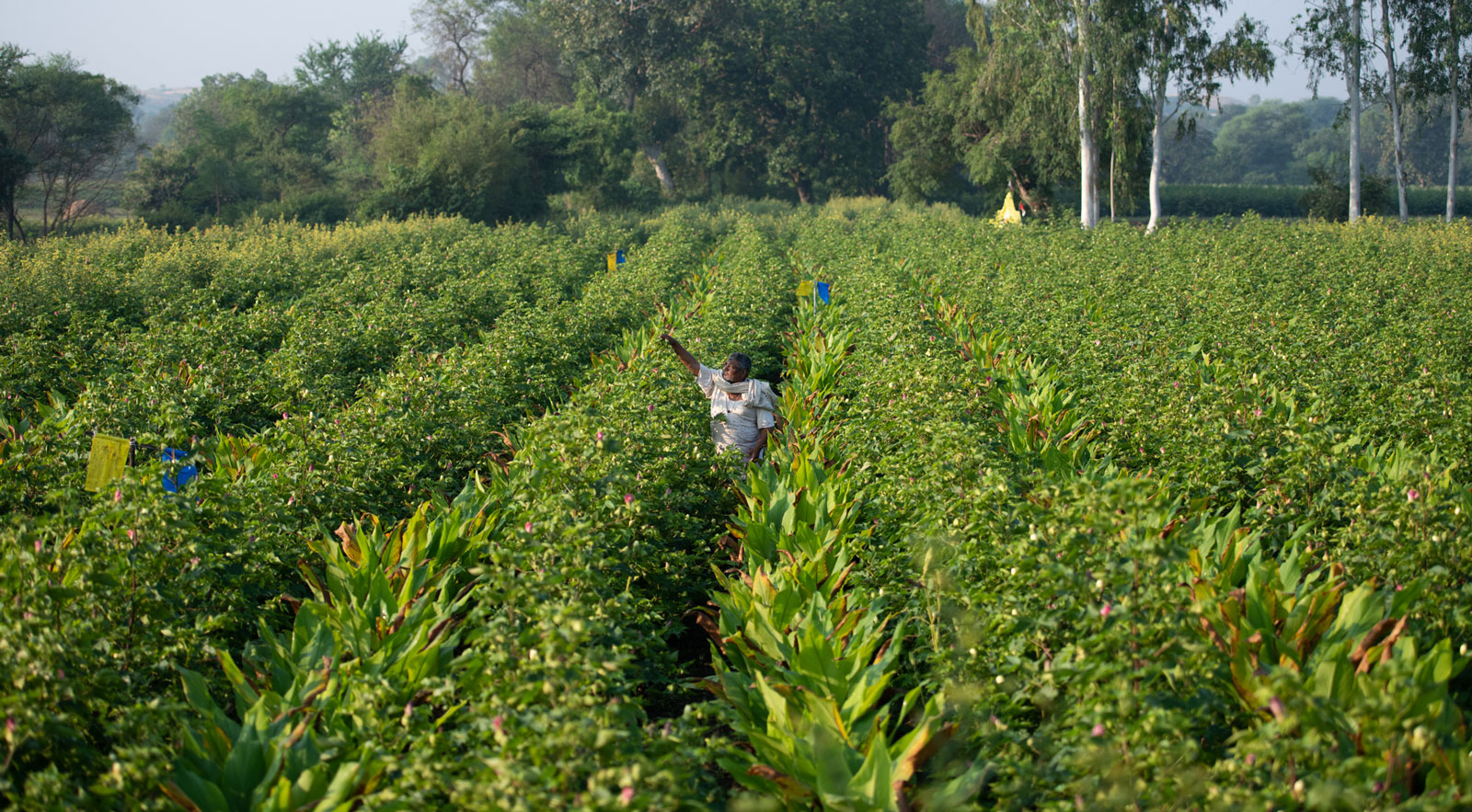 2025 Or Bust: Patagonia’s Carbon Neutrality Goal