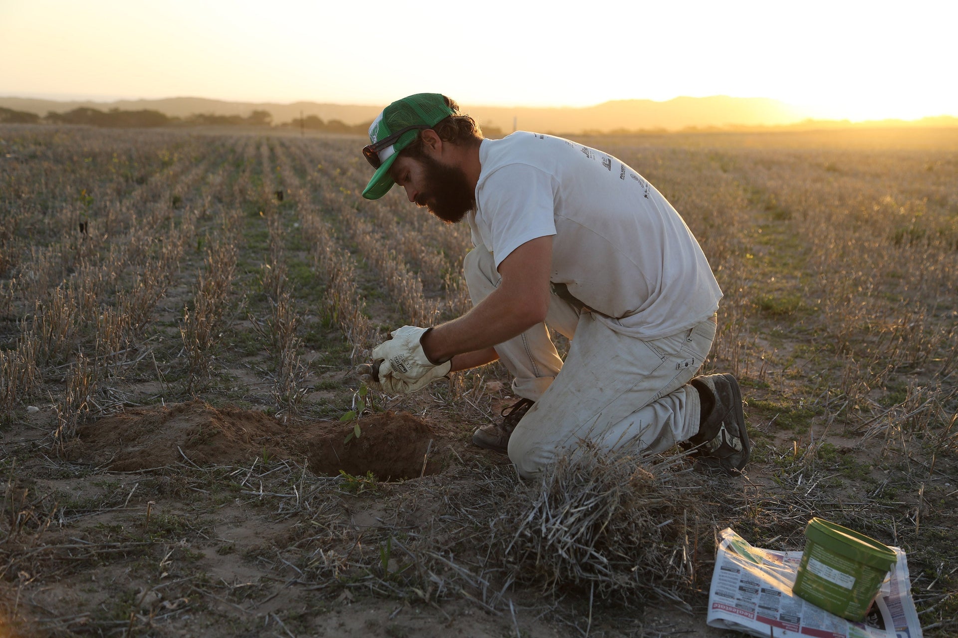 You Are What You Eat<br>Regenerative Agriculture: A Revolution Taking Seed