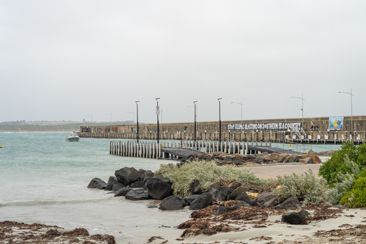 Gunditjmara Country – and the southwestern Victorian port of Warrnambool – is ground zero for the gas industry’s expansion plans in the south. Photo Ula Majewski