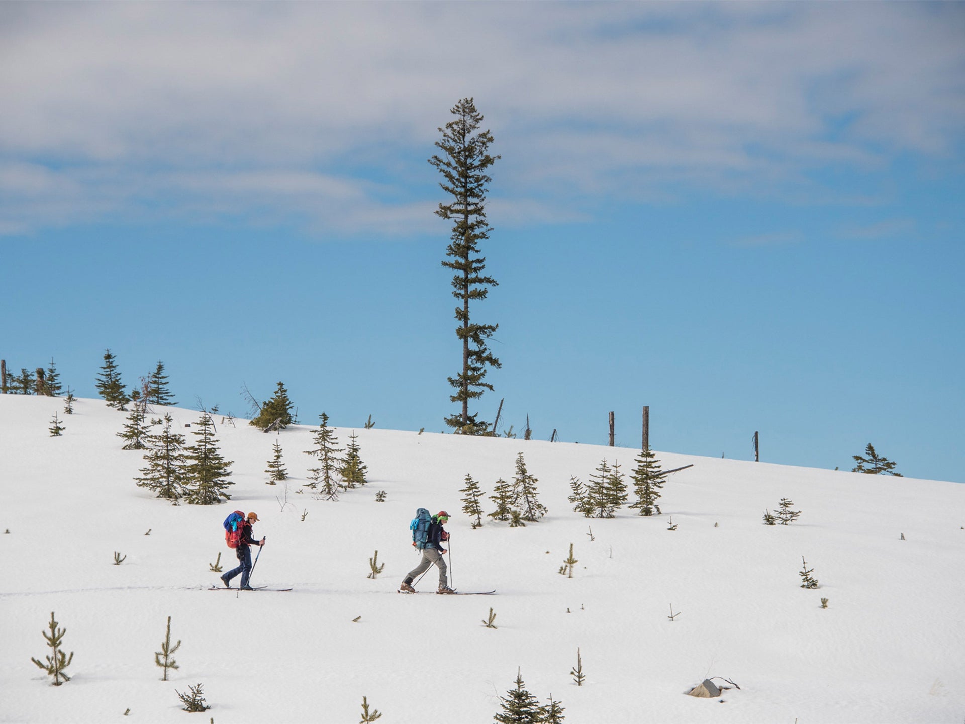 The Worst Transverse