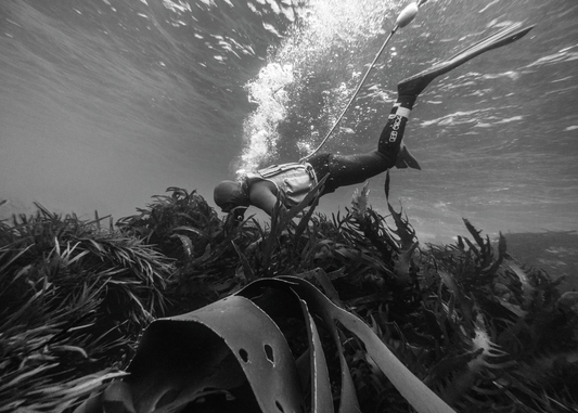 Opening image: ‘Polly’ has spent over three decades diving and surfing in Tasmanian waters. There are few people better placed to offer an assessment of what’s going on below the surface. Photo Nick Green
