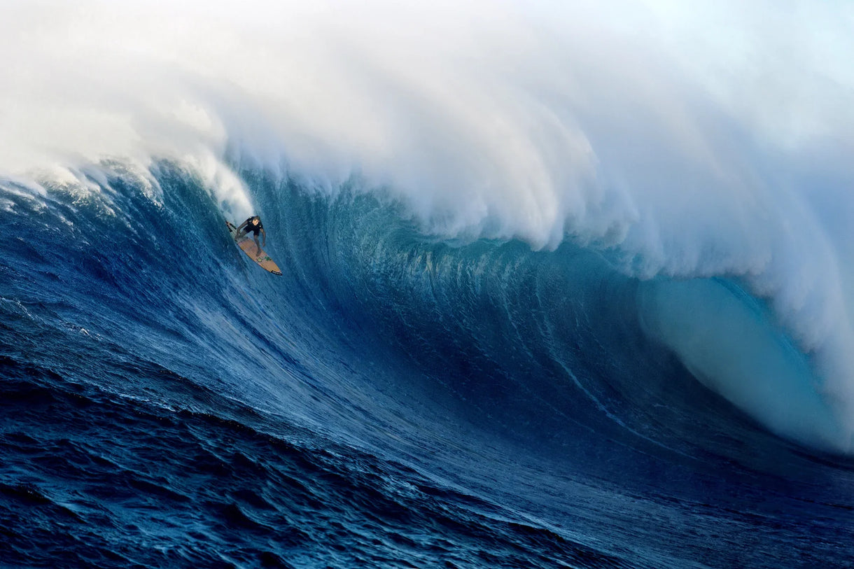 Albee Layer on the cusp of something magnificent. Photo: Fred Pompermayer