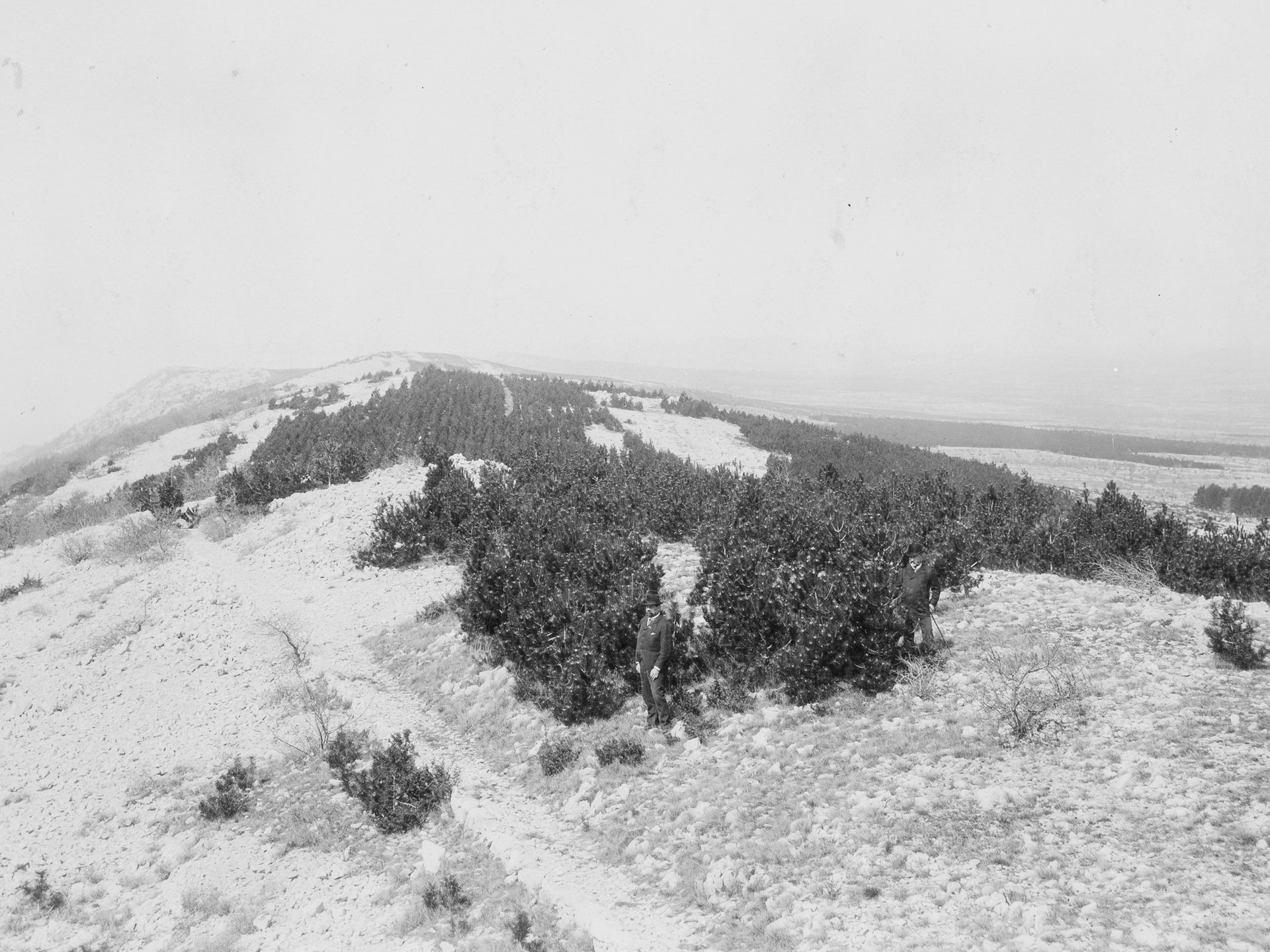 This photo was taken from the album “Restauration des montagnes deboisées,” which roughly translates to “reforestation of deforested mountains.” Photo: B. Circovich