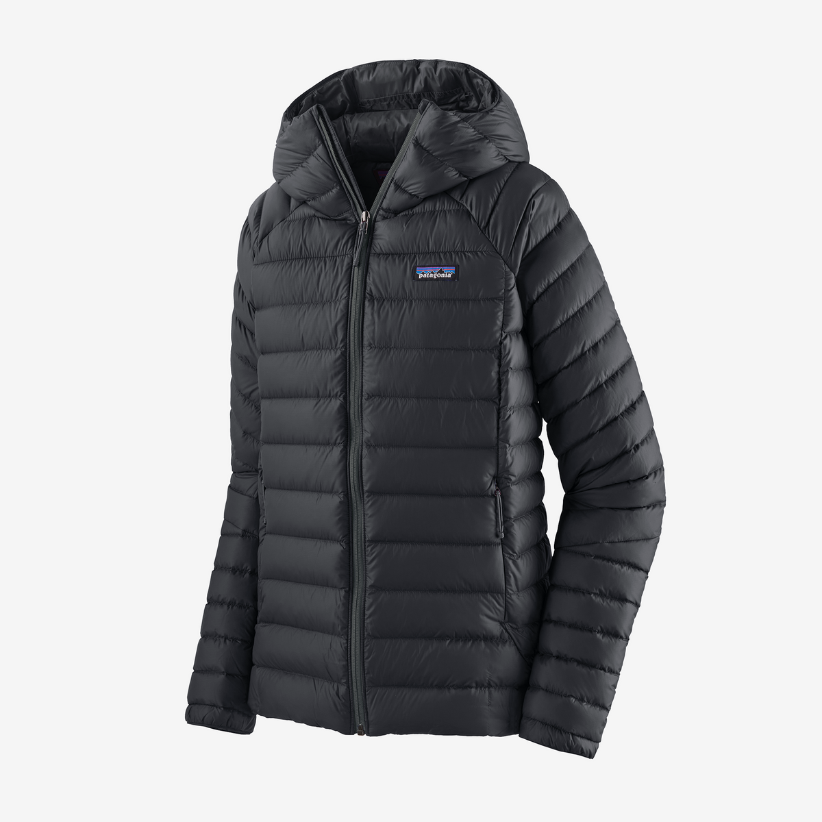 PATAGONIA Down Sweater Hoody (Women's)