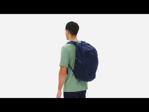 patagonia backpacks nz Refugio Daypack 30L